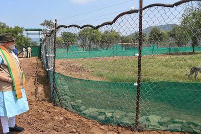 Cheetah Release 'Tamasha' Orchestrated by PM to Avoid National Issues: Congress