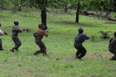 'Bihar Naxal-free, Area in Jharkhand Reclaimed after 30 Years': CRPF, Govt Announce Big Gains against Maoists