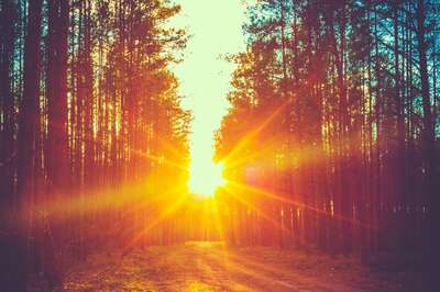 Aaj Ka Panchang, January 31, 2024: Tithi, Vrat, and Today’s Shubh, Ashubh Muhurat