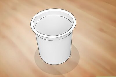 How to Use Beer to Get Rid of Snails in Your Garden