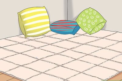 How to Care for a Cerebellar Hypoplasia Cat