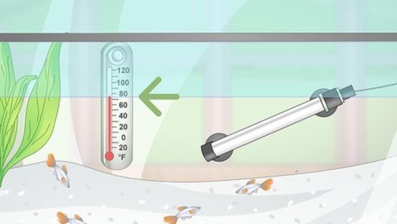 How to Prevent Fish From Getting Sick