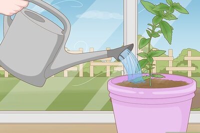 How to Protect Plants