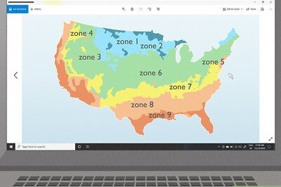 How to Grow Big Tomatoes