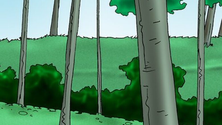 How to Grow Deadly Monkshood