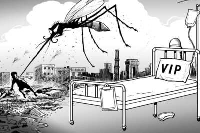 Karnataka, Not Delhi Leads in Cases of Resurgent Chikungunya