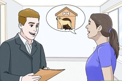 How to Find a Reputable Dog Breeder