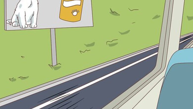 How to Have a Good Time on a Field Trip