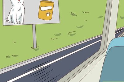 How to Have a Good Time on a Field Trip