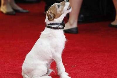 Oscar's big snub: Uggie the dog, a true 'Artist'