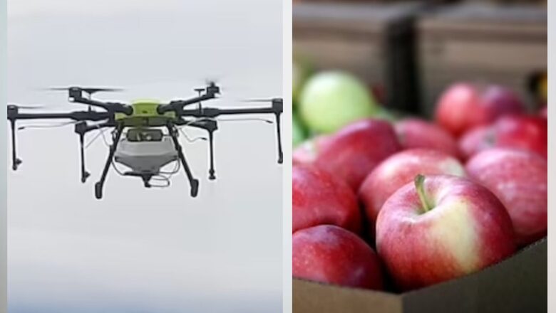 Now, Drones To Bring Apples From Inaccessible Areas Of Himachal's Kinnaur, Reduce Transportation Cost