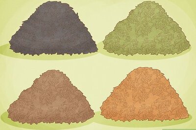 The Complete Guide to Mulching Around a Tree Like a Pro