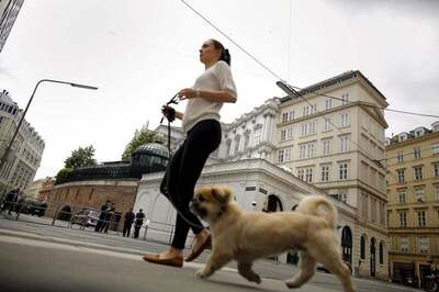 Iran Cracks Down on 'Vulgar Western' Dog Owners