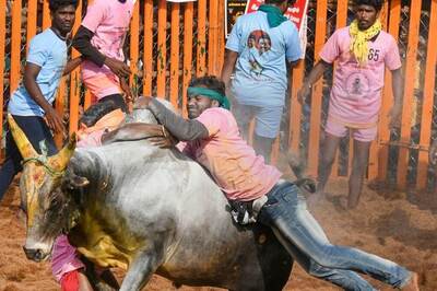 'Jallikattu Going in TN for Last One Century...': SC Upholds Law Allowing Bull-Taming Sport