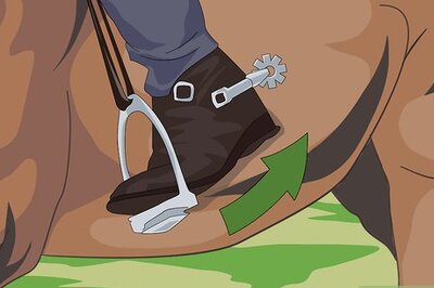 How to Ride a Lazy Horse