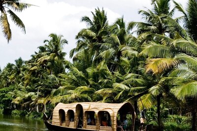 Elephant Figurines To Aromatic Oils, 5 Must Buy Souvenirs From Kerala