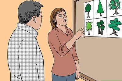 How to Plant Trees for a Reforestation Project