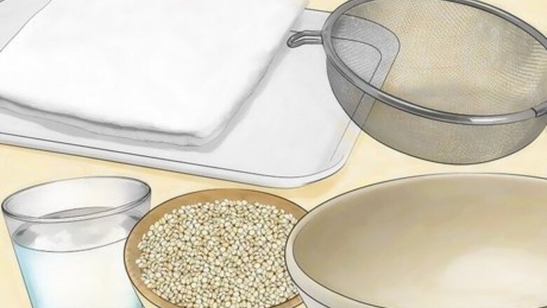 How to Sprout Quinoa
