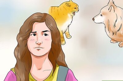 How to Make Your Dog Like Your Cat