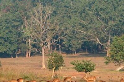 This Summer Vacation, No Hills or Beaches But These National Parks