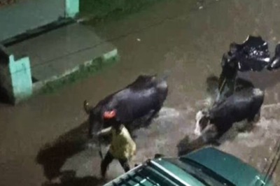 Heavy Rains, Lightning Kill 13 in Maharashtra; Over 560 People Rescued