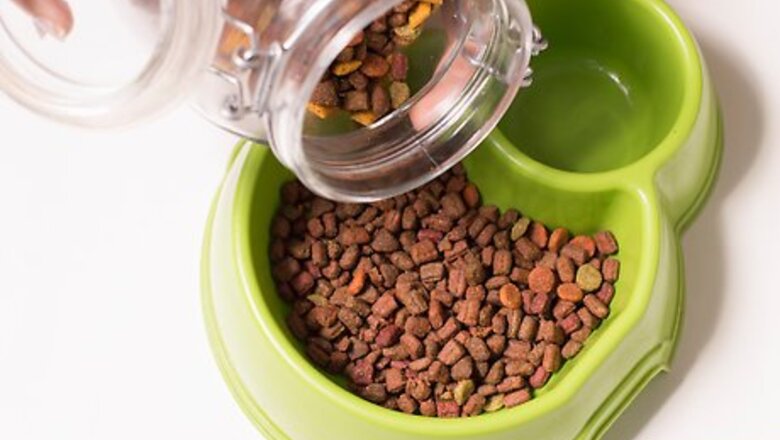 How to Care for Long Haired Cats