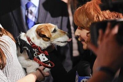No Oscar invitation for 'The Artist' dog Uggie