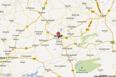 Madhya Pradesh tendu leaf collectors to get Rs 244.55 crore bonus