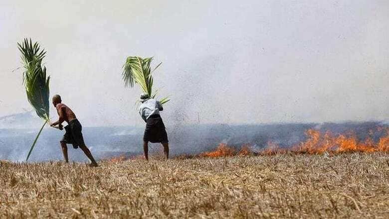 Punjab to Stop Paddy Straw Burning From This Year: HC on Air Pollution