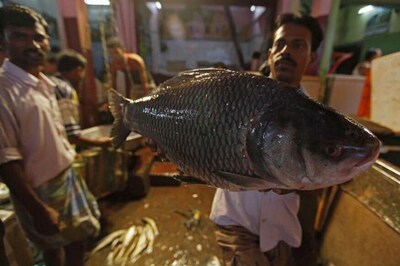 WPI Inflation Rises to 3.39% in Dec, But Food Prices Cool