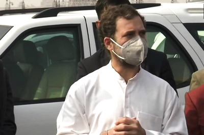 With Rahul Gandhi's Madurai Trip for Jallikattu, Congress Hopes to Take The Bull by The Horns