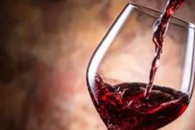 Sula Vineyards IPO Opens on Monday: GMP, Price, Size; 10 Things to Know Before Investing