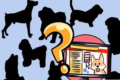 How to Adopt a Purebred Dog