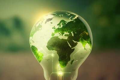 Appealing to Conscious Consumers: The Power of Sustainable Brands