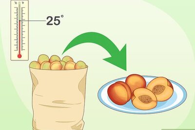 How to Store Nectarines