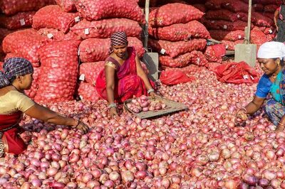 Govt Bans Onion Exports Till March 2024 To Raise Domestic Availability