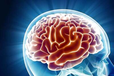 Study Finds Human Brains Have Grown In Size Over Last 75 Years, Is It Good News For Dementia Patients?