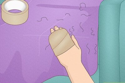 How to Get Dog Hair Out of Blankets