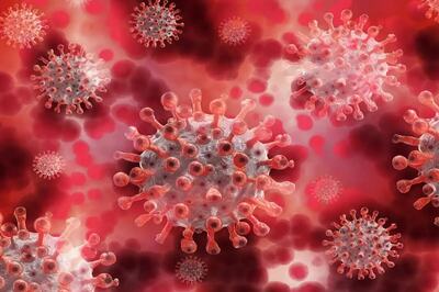 'Double Mutant Covid May, Theoretically, Be More Infectious:' ICMR Scientist