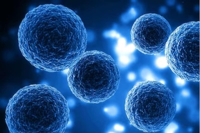 Cells Communicate With Each Other To Navigate The Ageing Process: Study