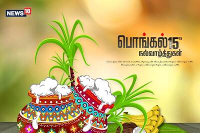 Happy Pongal 2024: Wishes, Images, Status, Quotes, Messages and WhatsApp Greetings to Share in English and Tamil!