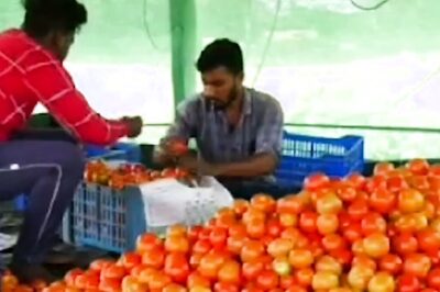 These School Dropout Siblings From Karnataka Earn In Millions From Tomato Farming