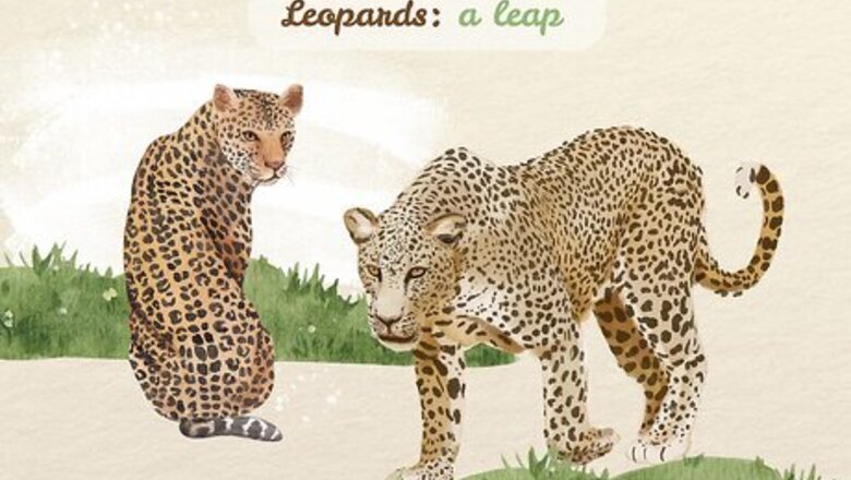 150+ Collective Nouns for Animals & Where They Come From