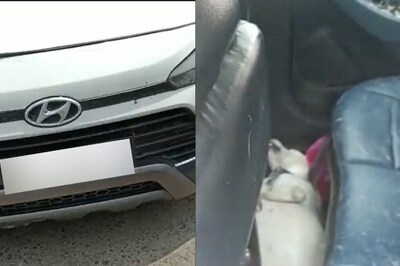 Pet Dog Succumbs To Heat In Locked Car While Owners Explore Taj Mahal
