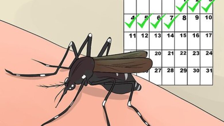 How to Recognize and Treat Dengue Fever