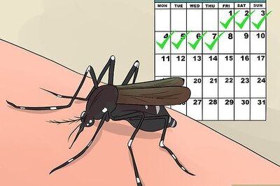 How to Recognize and Treat Dengue Fever