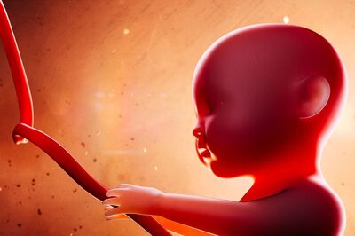 HC Allows Termination of Over 30-week Pregnancy as Foetus Has Rare Chromosomal Disorder