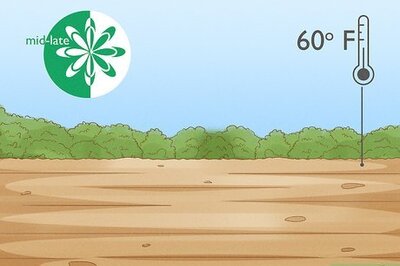 How to Grow Pole Beans