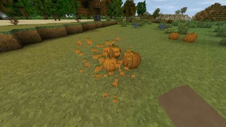 How to Grow Pumpkins in Survivalcraft