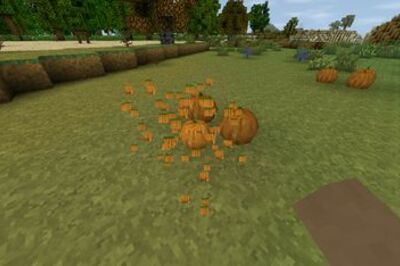 How to Grow Pumpkins in Survivalcraft